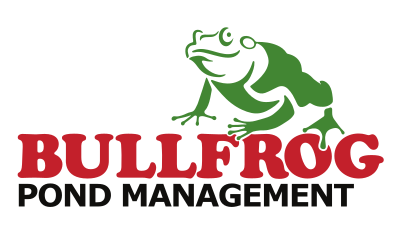 Bullfrog Pond Management