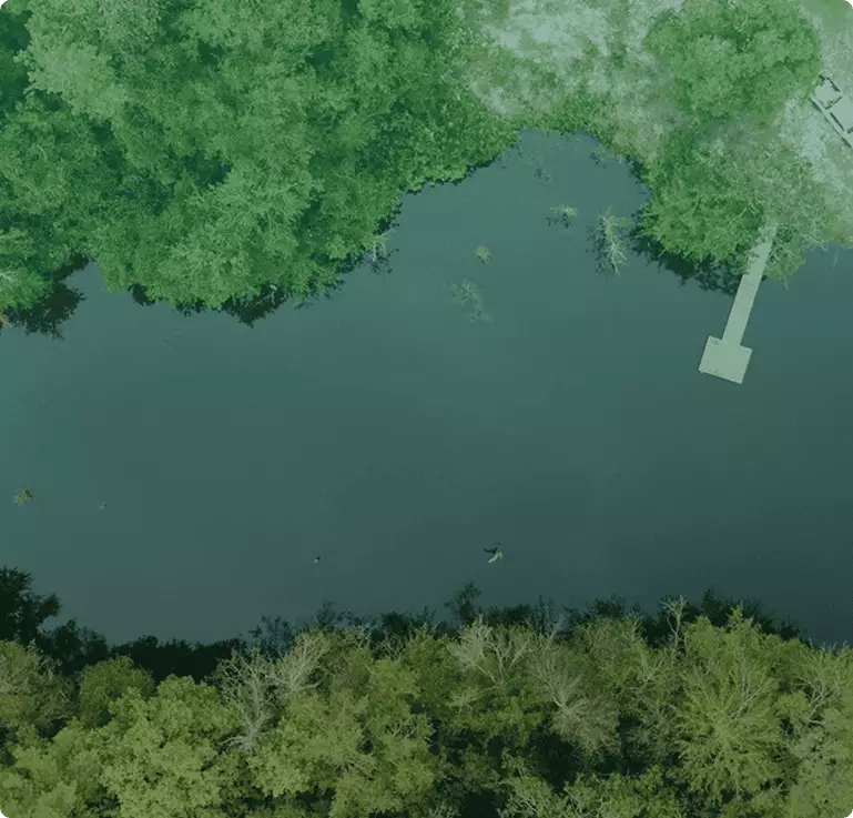 Our Simple & Effective Pond Management Process