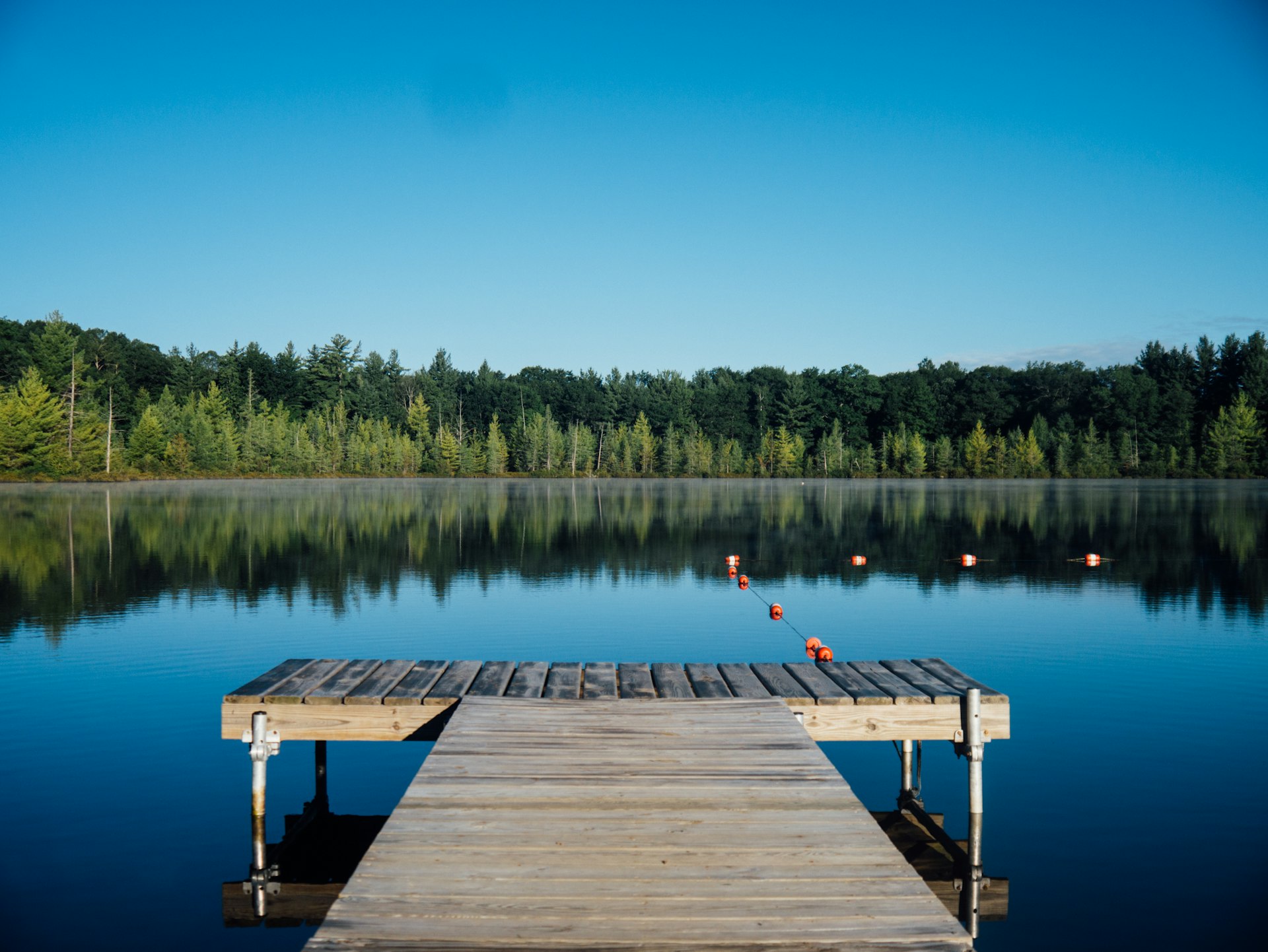 Peaceful South Carolina pond surrounded by trees