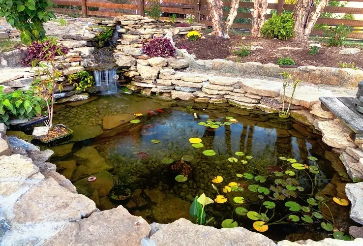 Algae & Bio Control at Rock Hill, SC
