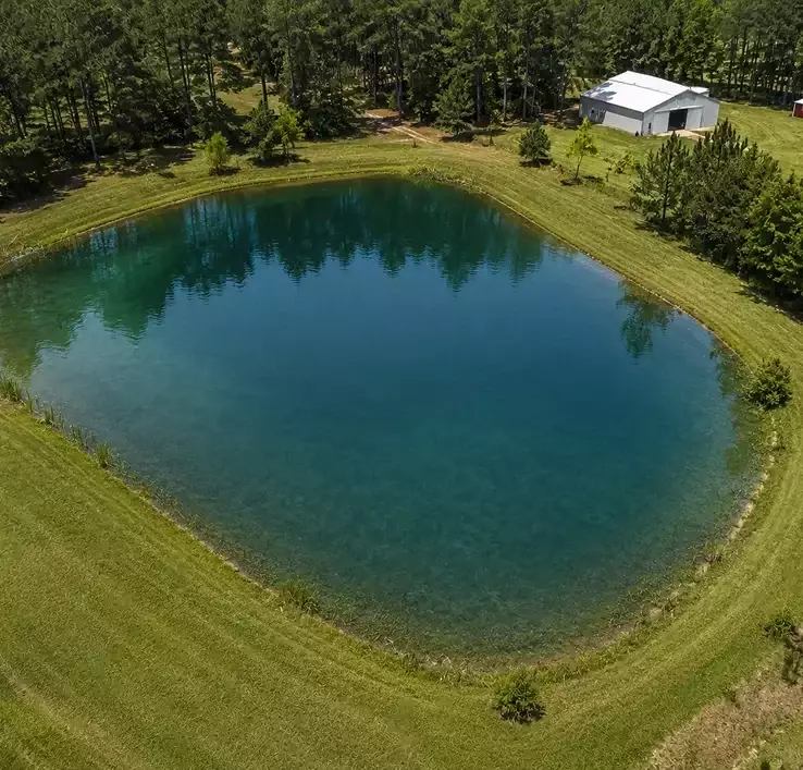 Pond Transformation After