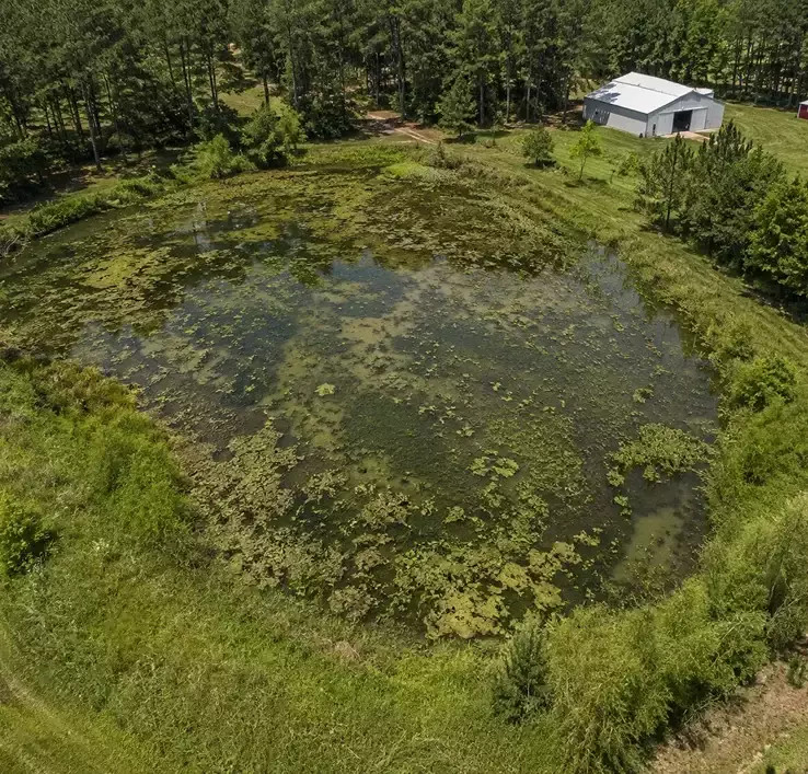 Pond Transformation Before