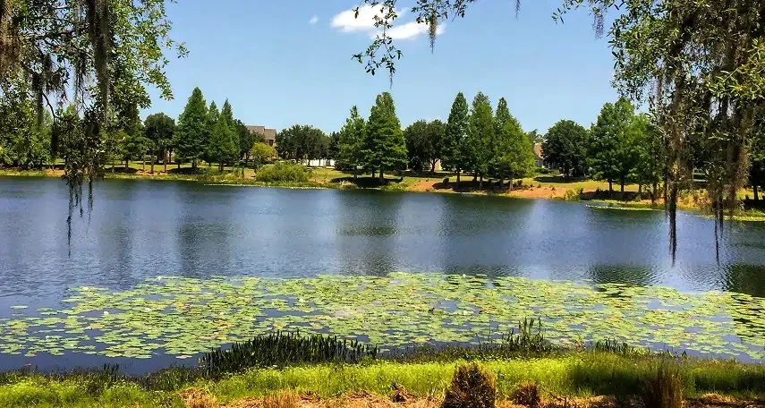 Calm lake with lily pads, surrounded by green trees and grass under a clear blue sky with a few clouds.