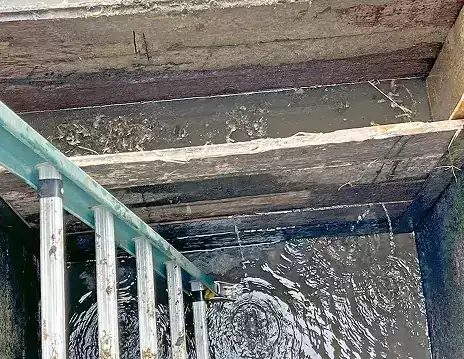 A ladder inside a concrete or wooden pit filled with dark water leaking from the walls.