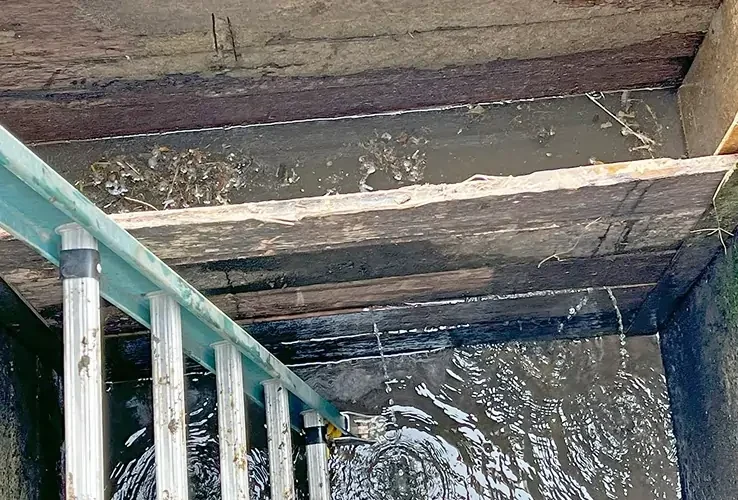 Close-up view of a wooden dock or retaining structure with a ladder leading into the water, showing water level, timber beams, and signs of wear during an inspection.